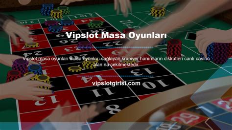 Vipslot Lisans Bilgileri